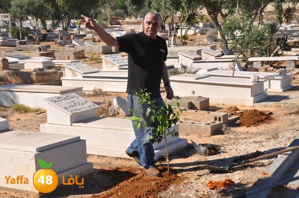 ashjar taso 0328 (34).JPG